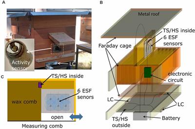 The Electronic Bee Spy: Eavesdropping on Honeybee Communication via Electrostatic Field Recordings